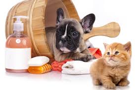 Pet product